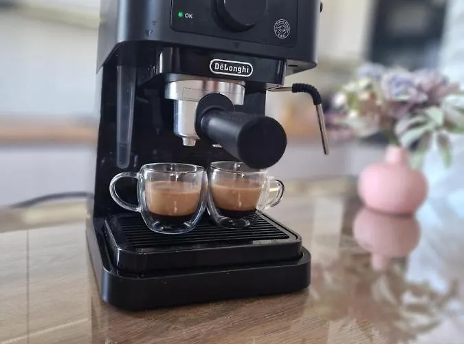 Luxury Imperio 아파트 시베니크